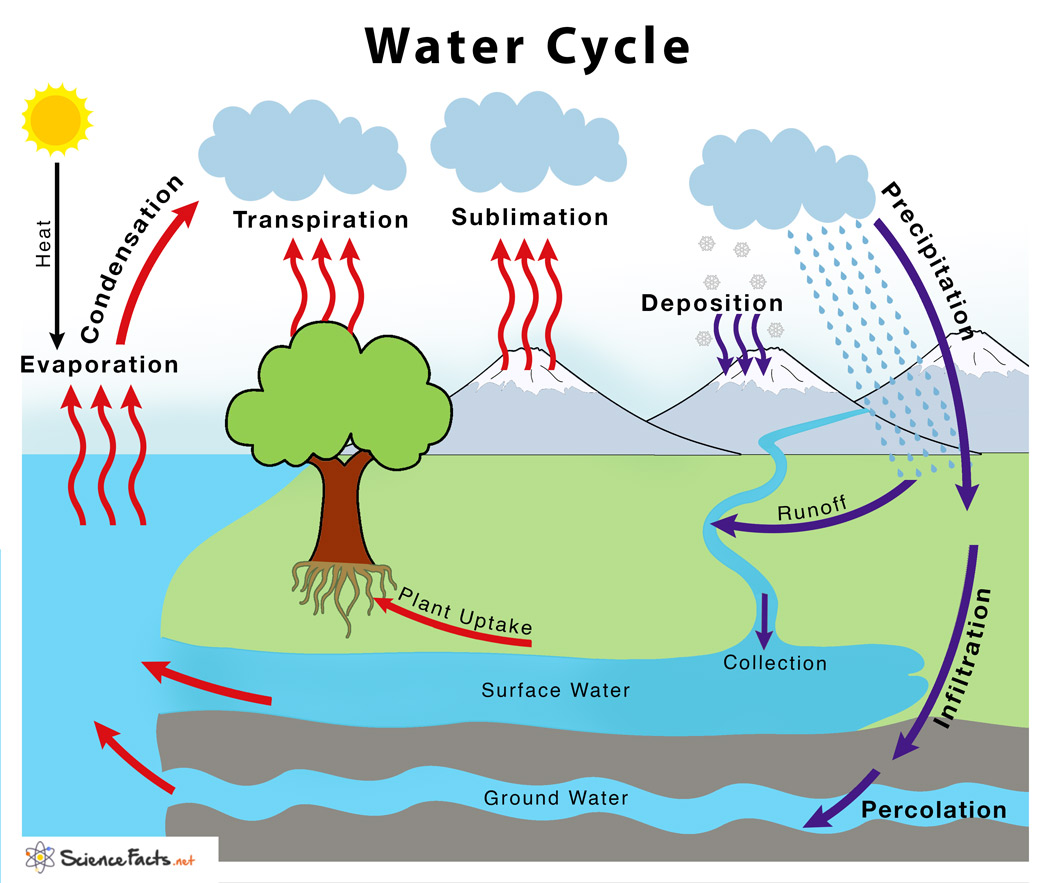 Water Cycle