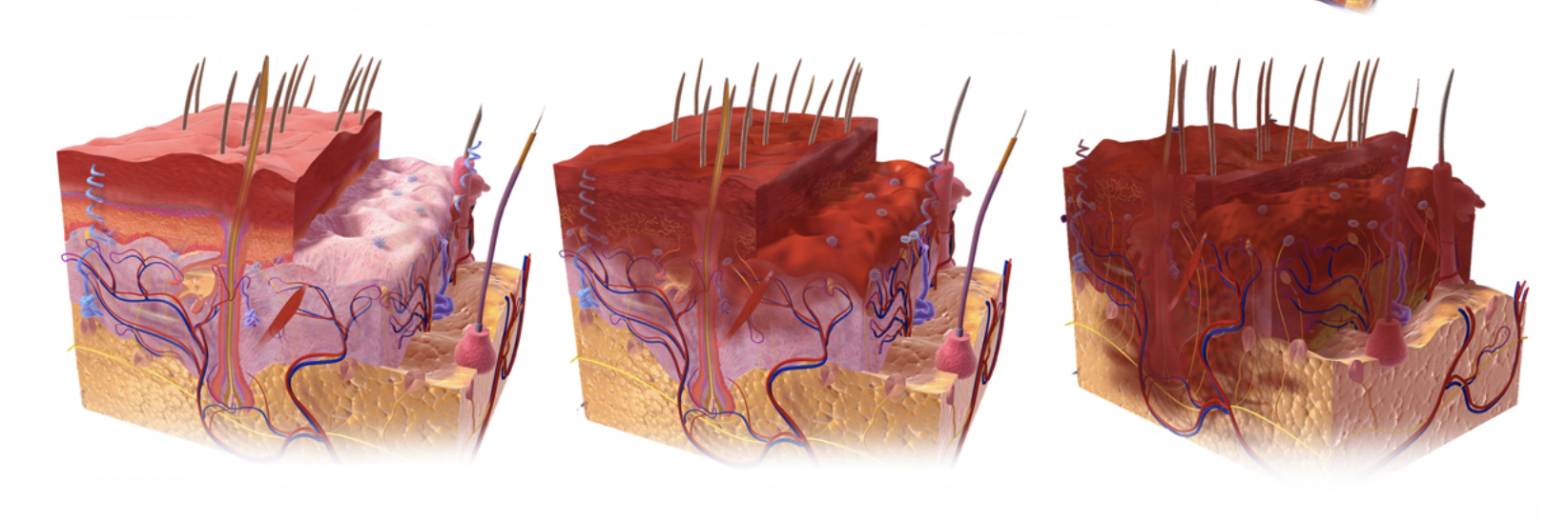 Industrial Hygiene Tools