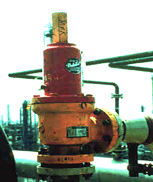 Bellows Relief Valve Internal