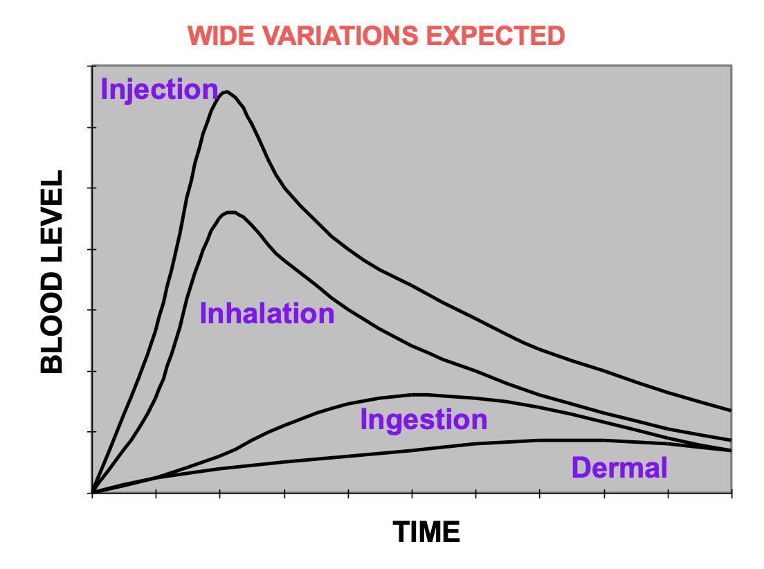 Toxin Blood Concentration Over Time
